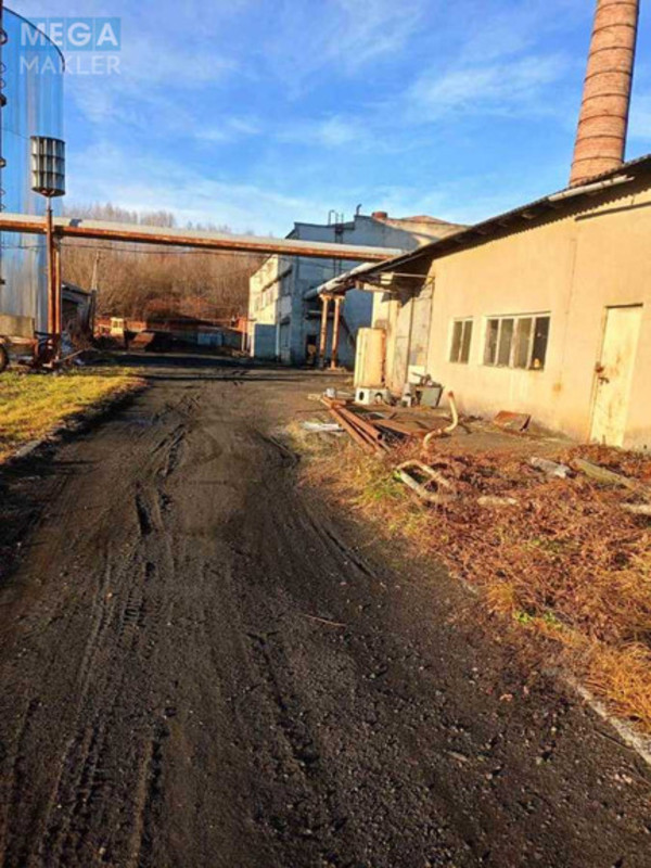 Продаж комплексу будівель та споруд, 3&nbsp;600&nbsp;кв.м, под производство, <a class="location-link" href="/stopchatov/" title="Недвижимость Стопчатів">Стопчатів</a>, Центральна, 1 (изображение 9)