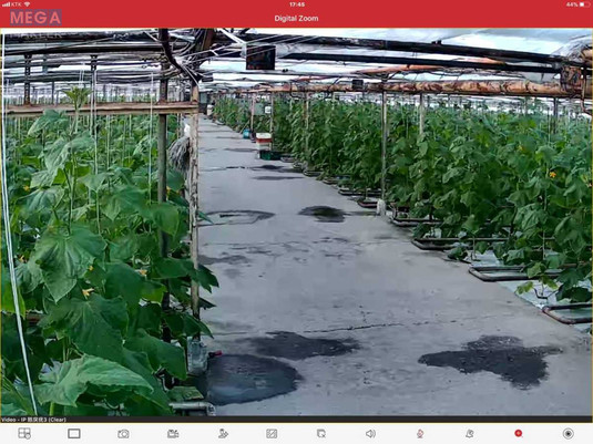 Продаж комплексу будівель та споруд, 3&nbsp;600&nbsp;кв.м, под производство, <a class="location-link" href="/stopchatov/" title="Недвижимость Стопчатів">Стопчатів</a>, Центральна, 1 (изображение 13)