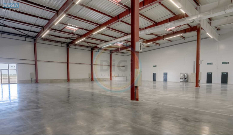 Оренда комерційної нерухомості, 6&nbsp;000&nbsp;кв.м, под склад, <a class="location-link" href="/berezovka-selo-kv/" title="Недвижимость Березівка">Березівка</a>, Лесі Українки (изображение 5)