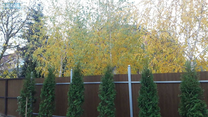 Оренда дома, <a class="location-link" href="/sofievskaya-borshagovka/" title="Недвижимость Софіївська Борщагівка">Софіївська Борщагівка</a>, Парнікова, 9 (изображение 2)