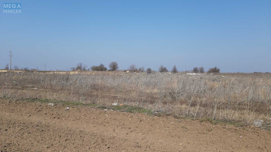 Продажа участка, 95&nbsp;соток, земля сельскохозяйственного назначения, <a class="location-link" href="/voronkov/" title="Недвижимость Вороньків">Вороньків</a>, Вороньківська с/р (изображение 3)