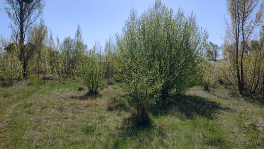 Продажа участка, 7,38&nbsp;соток, участок под жилую застройку, <a class="location-link" href="/kiev/" title="Недвижимость Київ">Київ</a>, <a class="location-link" href="/kiev/desnyanskij/" title="Недвижимость Деснянський район">Деснянський р-н</a>, Вірності вул. (изображение 14)