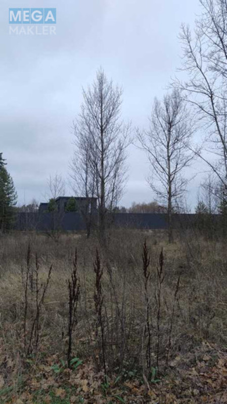 Продажа участка, 25&nbsp;соток, участок под жилую застройку, <a class="location-link" href="/plyuty/" title="Недвижимость Плюті">Плюти</a>, Будівельників (изображение 5)