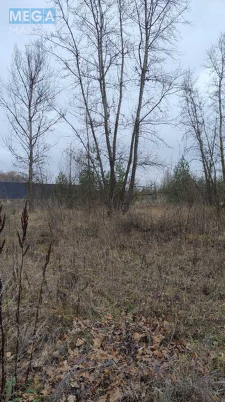 Продажа участка, 25&nbsp;соток, участок под жилую застройку, <a class="location-link" href="/plyuty/" title="Недвижимость Плюті">Плюти</a>, Будівельників (изображение 8)