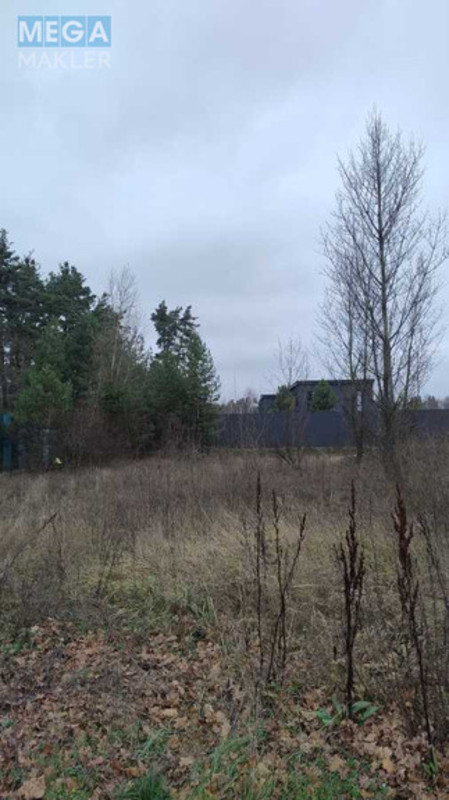 Продажа участка, 25&nbsp;соток, участок под жилую застройку, <a class="location-link" href="/plyuty/" title="Недвижимость Плюті">Плюти</a>, Будівельників (изображение 10)