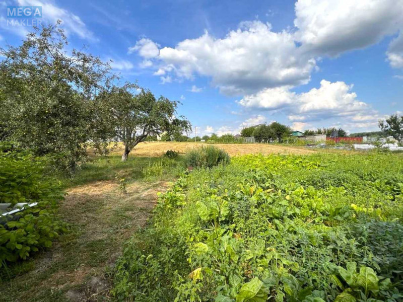 Продаж дома, 1&nbsp; поверх, 71&nbsp;кв.м, 5&nbsp;кімнат, ділянка 27&nbsp;соток, <a class="location-link" href="/chervonaya-motovilovka/" title="Недвижимость Червона Мотовилівка">Червона Мотовилівка</a>, Данила Галицького, 8 (изображение 25)