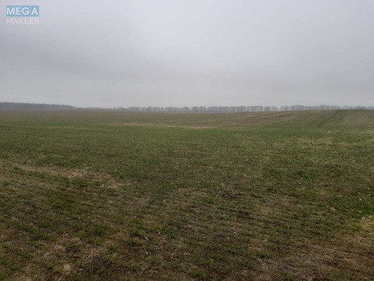 Продажа участка, 149&nbsp;соток, земля сельскохозяйственного назначения, <a class="location-link" href="/voronkov/" title="Недвижимость Вороньків">Вороньків</a>, Вороньківська с/р (изображение 2)