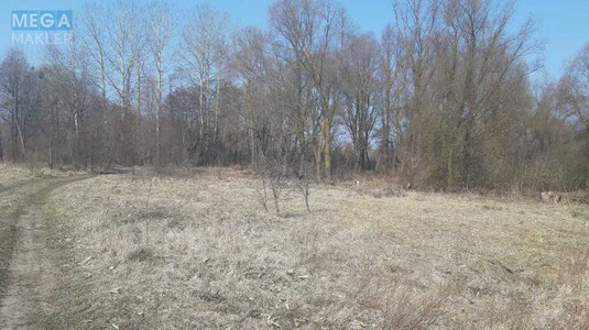 Продажа участка, 200&nbsp;соток, земля сельскохозяйственного назначения, <a class="location-link" href="/voronkov/" title="Недвижимость Вороньків">Вороньків</a>, Вороньків (изображение 3)