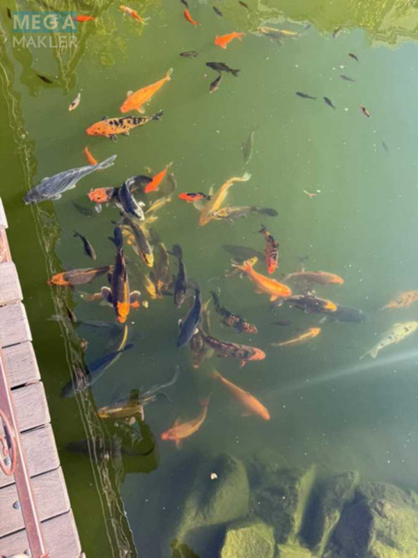 Новобудова, 4 поверхів, <a class="location-link" href="/sofievskaya-borshagovka/" title="Недвижимость Софіївська Борщагівка">Софіївська Борщагівка</a>, Відпочинку, 3 (изображение 3)