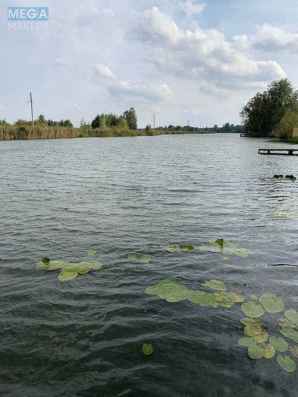 Продаж дома, 2&nbsp;поверху, 585&nbsp;кв.м, 5&nbsp;кімнат, ділянка 24&nbsp;сотки, <a class="location-link" href="/procov/" title="Недвижимость Проців">Проців</a>, Центральна (изображение 22)