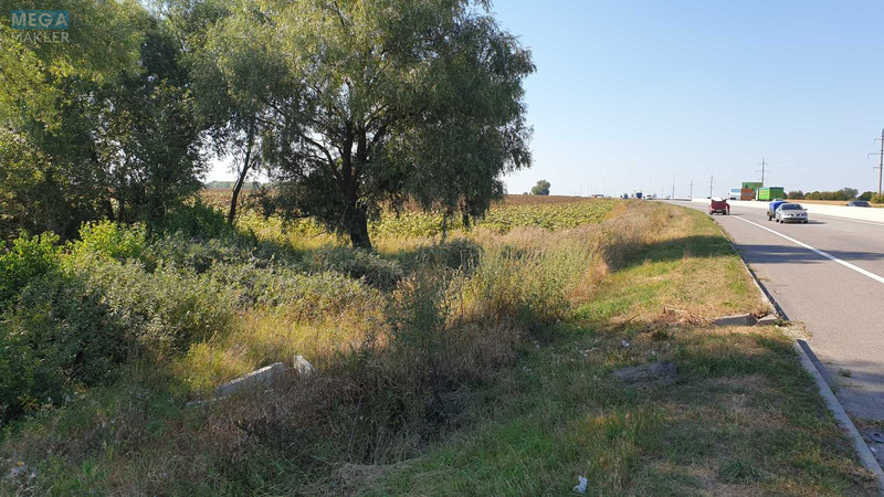 Продажа участка, 1&nbsp;691&nbsp;сотка, земля коммерческого назначения, <a class="location-link" href="/velikaya-soltanovka/" title="Недвижимость Велика Солтанівка">Велика Солтанівка</a>, Невідома (изображение 2)