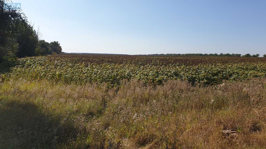 Продажа участка, 1&nbsp;691&nbsp;сотка, земля коммерческого назначения, <a class="location-link" href="/velikaya-soltanovka/" title="Недвижимость Велика Солтанівка">Велика Солтанівка</a>, Невідома (изображение 3)