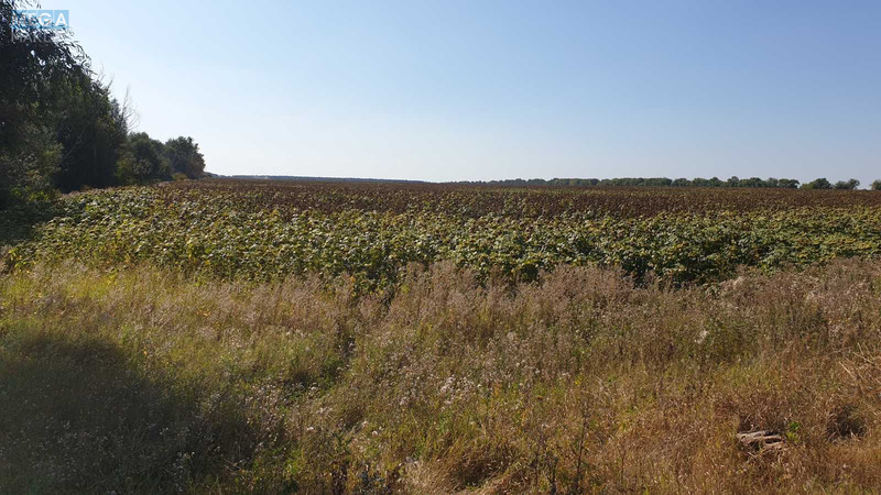 Продажа участка, 1&nbsp;691&nbsp;сотка, земля коммерческого назначения, <a class="location-link" href="/velikaya-soltanovka/" title="Недвижимость Велика Солтанівка">Велика Солтанівка</a>, Невідома (изображение 3)