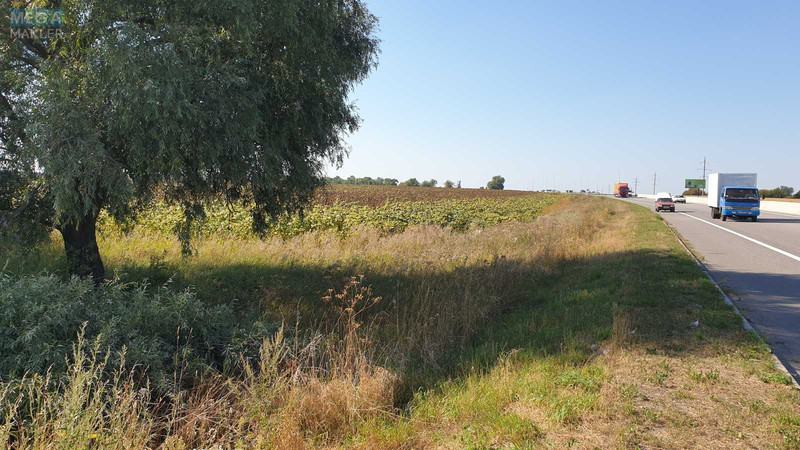 Продажа участка, 1&nbsp;691&nbsp;сотка, земля коммерческого назначения, <a class="location-link" href="/velikaya-soltanovka/" title="Недвижимость Велика Солтанівка">Велика Солтанівка</a>, Невідома (изображение 4)