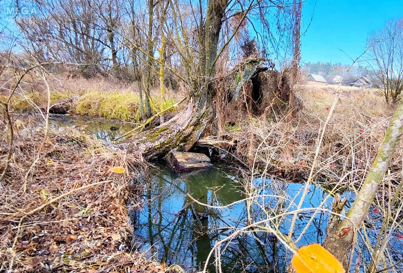 Продаж дома, 1&nbsp; поверх, 78&nbsp;кв.м, 3&nbsp;кімнати, ділянка 51&nbsp;сотка, <a class="location-link" href="/obuhovichi/" title="Недвижимость Обуховичі">Обуховичі</a>, провулок Дружби, 9 (изображение 5)