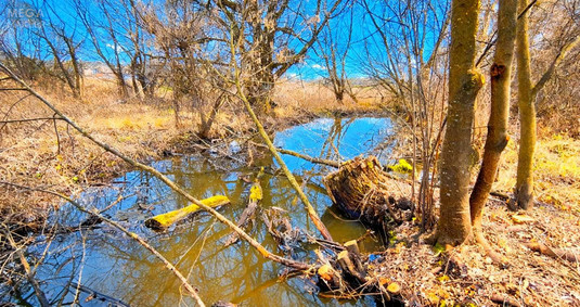 Продаж дома, 1&nbsp; поверх, 78&nbsp;кв.м, 3&nbsp;кімнати, ділянка 51&nbsp;сотка, <a class="location-link" href="/obuhovichi/" title="Недвижимость Обуховичі">Обуховичі</a>, провулок Дружби, 9 (изображение 9)