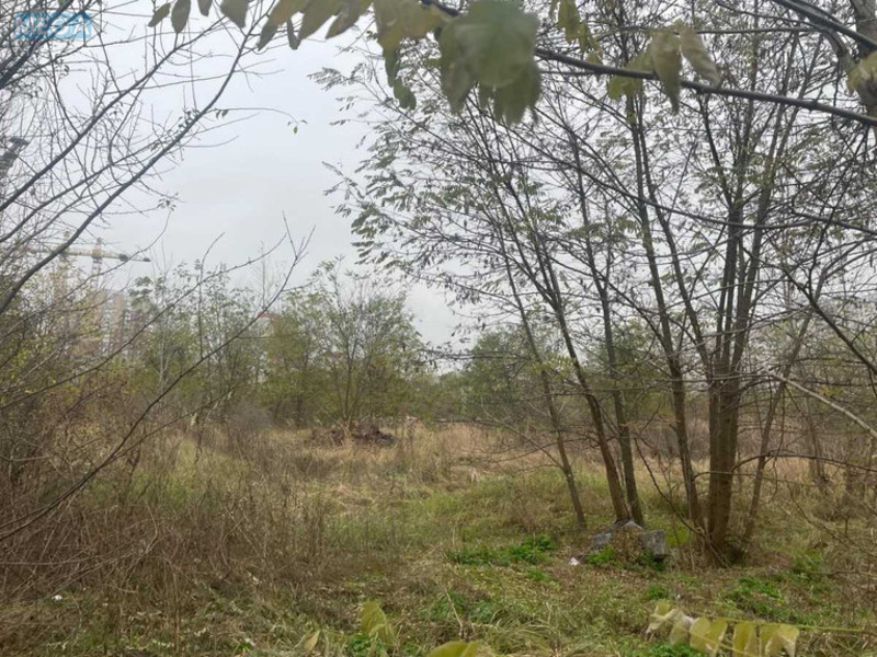 Продажа участка, 8&nbsp;соток, участок под жилую застройку, <a class="location-link" href="/kiev/" title="Недвижимость Київ">Київ</a>, <a class="location-link" href="/kiev/desnyanskij/" title="Недвижимость Деснянський район">Деснянський р-н</a>, Милославська вул. (изображение 6)