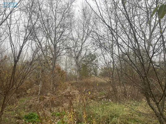 Продажа участка, 8&nbsp;соток, участок под жилую застройку, <a class="location-link" href="/kiev/" title="Недвижимость Київ">Київ</a>, <a class="location-link" href="/kiev/desnyanskij/" title="Недвижимость Деснянський район">Деснянський р-н</a>, Милославська вул. (изображение 9)