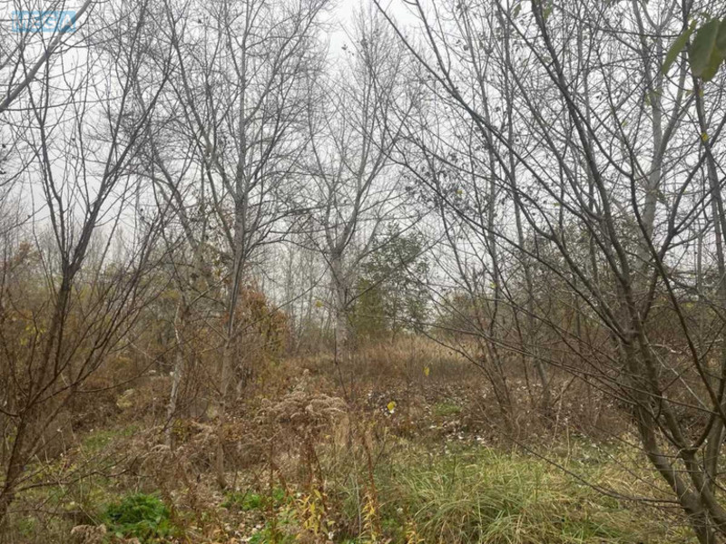 Продажа участка, 8&nbsp;соток, участок под жилую застройку, <a class="location-link" href="/kiev/" title="Недвижимость Київ">Київ</a>, <a class="location-link" href="/kiev/desnyanskij/" title="Недвижимость Деснянський район">Деснянський р-н</a>, Милославська вул. (изображение 9)