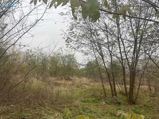 Продажа участка, 8&nbsp;соток, участок под жилую застройку, <a class="location-link" href="/kiev/" title="Недвижимость Київ">Київ</a>, <a class="location-link" href="/kiev/desnyanskij/" title="Недвижимость Деснянський район">Деснянський р-н</a>, Милославська вул. (изображение 10)