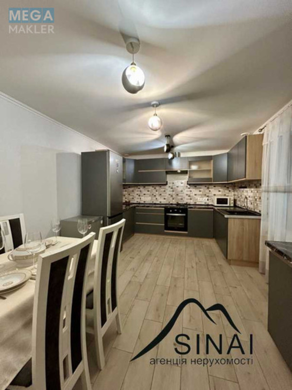 Продаж дома, 1&nbsp; поверх, 230&nbsp;кв.м, 7&nbsp;кімнат, ділянка 12&nbsp;соток, <a class="location-link" href="/beregovo/" title="Недвижимость Берегове">Берегове</a>, Грабовского, 66 (изображение 12)