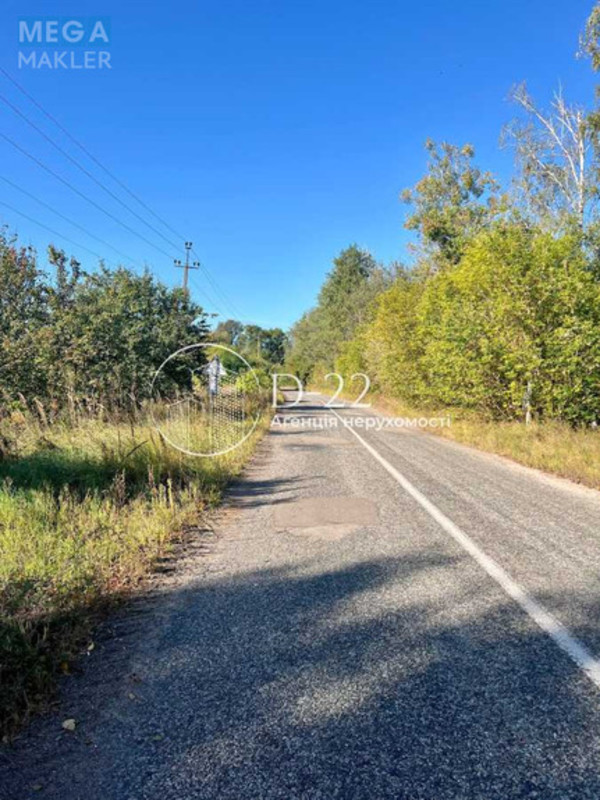 Продажа участка, 9&nbsp;соток, земля сельскохозяйственного назначения, <a class="location-link" href="/zavorichi/" title="Недвижимость Заворичі">Заворичі</a>, яблунева (изображение 15)