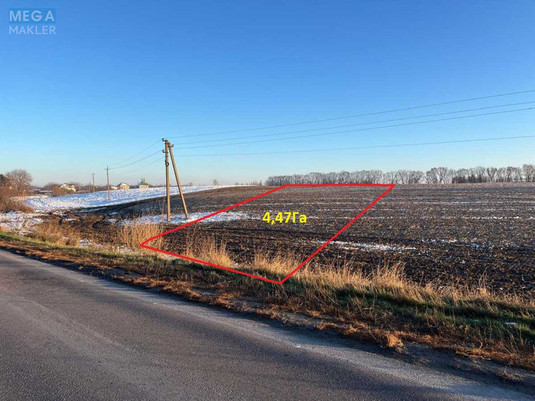 Продажа участка, 447&nbsp;соток, земля сельскохозяйственного назначения, <a class="location-link" href="/danilovka-selo-kv/" title="Недвижимость Данилівка">Данилівка</a>, Центральна (изображение 2)