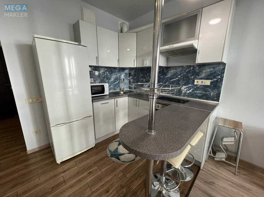 Оренда 1 кімнатної квартири, <a class="location-link" href="/kiev/" title="Недвижимость Київ">Київ</a>, <a class="location-link" href="/kiev/darnickij/" title="Недвижимость Дарницький район">Дарницький р-н</a>, Заречная ул., 3А (изображение 18)