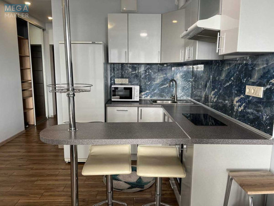 Оренда 1 кімнатної квартири, <a class="location-link" href="/kiev/" title="Недвижимость Київ">Київ</a>, <a class="location-link" href="/kiev/darnickij/" title="Недвижимость Дарницький район">Дарницький р-н</a>, Заречная ул., 3А (изображение 20)