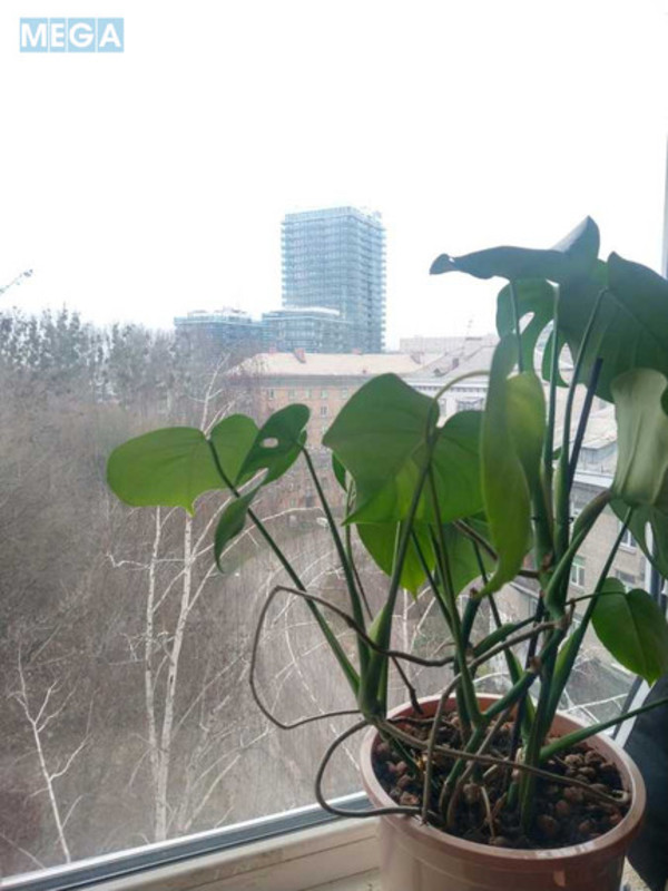 Оренда 2 кімнатної квартири, <a class="location-link" href="/kiev/" title="Недвижимость Київ">Київ</a>, <a class="location-link" href="/kiev/pecherskij/" title="Недвижимость Печерський район">Печерський р-н</a>, Кловский спуск (изображение 21)