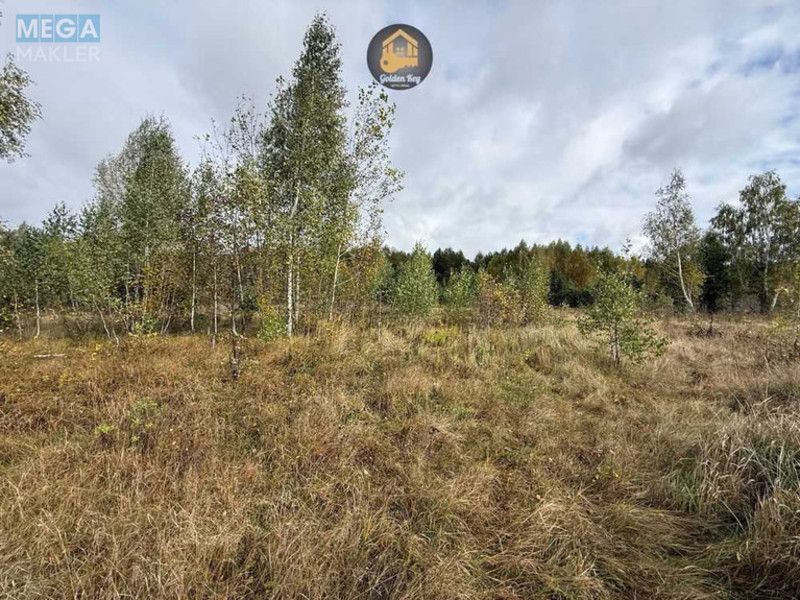 Продажа участка, 700&nbsp;соток, земля сельскохозяйственного назначения, <a class="location-link" href="/rovy/" title="Недвижимость Рови">Рови</a>, Центральна (изображение 2)