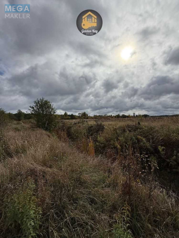 Продажа участка, 700&nbsp;соток, земля сельскохозяйственного назначения, <a class="location-link" href="/rovy/" title="Недвижимость Рови">Рови</a>, Центральна (изображение 3)