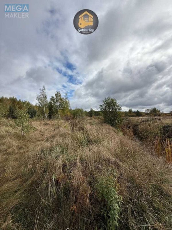 Продажа участка, 700&nbsp;соток, земля сельскохозяйственного назначения, <a class="location-link" href="/rovy/" title="Недвижимость Рови">Рови</a>, Центральна (изображение 4)