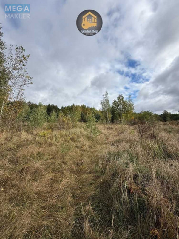 Продажа участка, 700&nbsp;соток, земля сельскохозяйственного назначения, <a class="location-link" href="/rovy/" title="Недвижимость Рови">Рови</a>, Центральна (изображение 5)