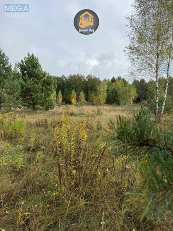 Продажа участка, 700&nbsp;соток, земля сельскохозяйственного назначения, <a class="location-link" href="/rovy/" title="Недвижимость Рови">Рови</a>, Центральна (изображение 7)