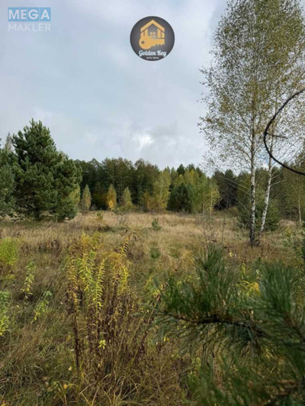 Продажа участка, 700&nbsp;соток, земля сельскохозяйственного назначения, <a class="location-link" href="/rovy/" title="Недвижимость Рови">Рови</a>, Центральна (изображение 8)