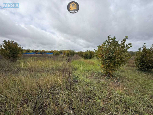 Продажа участка, 140&nbsp;соток, земля сельскохозяйственного назначения, <a class="location-link" href="/rovy/" title="Недвижимость Рови">Рови</a>, Миру (изображение 4)