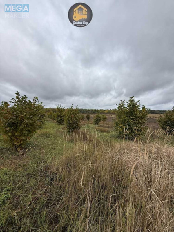 Продажа участка, 140&nbsp;соток, земля сельскохозяйственного назначения, <a class="location-link" href="/rovy/" title="Недвижимость Рови">Рови</a>, Миру (изображение 5)
