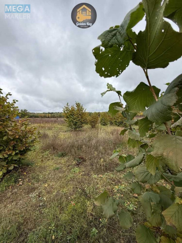 Продажа участка, 140&nbsp;соток, земля сельскохозяйственного назначения, <a class="location-link" href="/rovy/" title="Недвижимость Рови">Рови</a>, Миру (изображение 9)