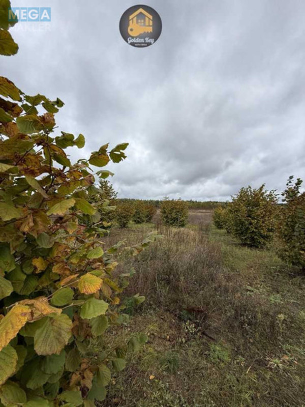 Продажа участка, 140&nbsp;соток, земля сельскохозяйственного назначения, <a class="location-link" href="/rovy/" title="Недвижимость Рови">Рови</a>, Миру (изображение 11)