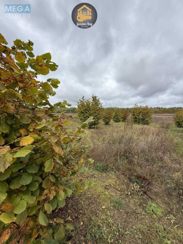 Продажа участка, 140&nbsp;соток, земля сельскохозяйственного назначения, <a class="location-link" href="/rovy/" title="Недвижимость Рови">Рови</a>, Миру (изображение 13)