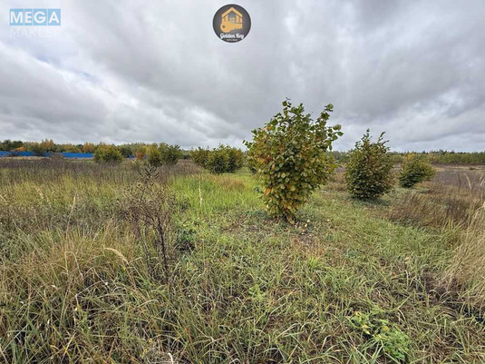 Продажа участка, 140&nbsp;соток, земля сельскохозяйственного назначения, <a class="location-link" href="/rovy/" title="Недвижимость Рови">Рови</a>, Миру (изображение 15)