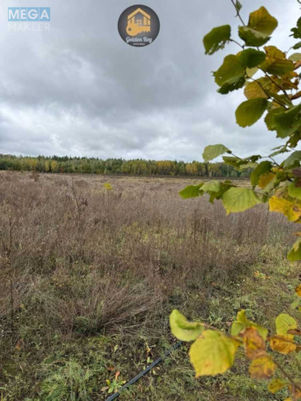 Продажа участка, 140&nbsp;соток, земля сельскохозяйственного назначения, <a class="location-link" href="/rovy/" title="Недвижимость Рови">Рови</a>, Миру (изображение 16)