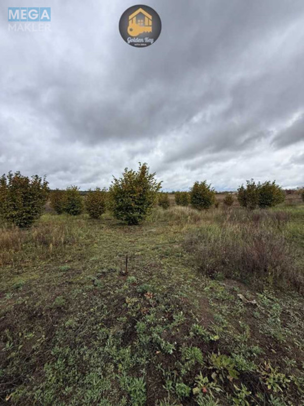 Продажа участка, 140&nbsp;соток, земля сельскохозяйственного назначения, <a class="location-link" href="/rovy/" title="Недвижимость Рови">Рови</a>, Миру (изображение 17)