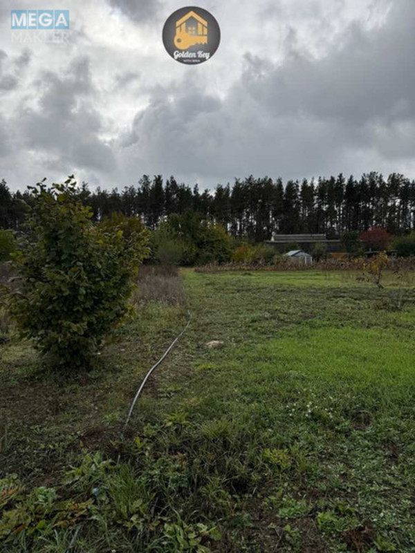 Продажа участка, 140&nbsp;соток, земля сельскохозяйственного назначения, <a class="location-link" href="/rovy/" title="Недвижимость Рови">Рови</a>, Миру (изображение 18)