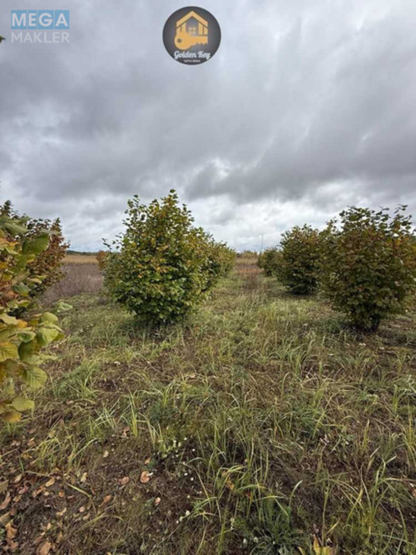 Продажа участка, 140&nbsp;соток, земля сельскохозяйственного назначения, <a class="location-link" href="/rovy/" title="Недвижимость Рови">Рови</a>, Миру (изображение 19)