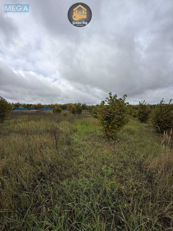 Продажа участка, 140&nbsp;соток, земля сельскохозяйственного назначения, <a class="location-link" href="/rovy/" title="Недвижимость Рови">Рови</a>, Миру (изображение 20)