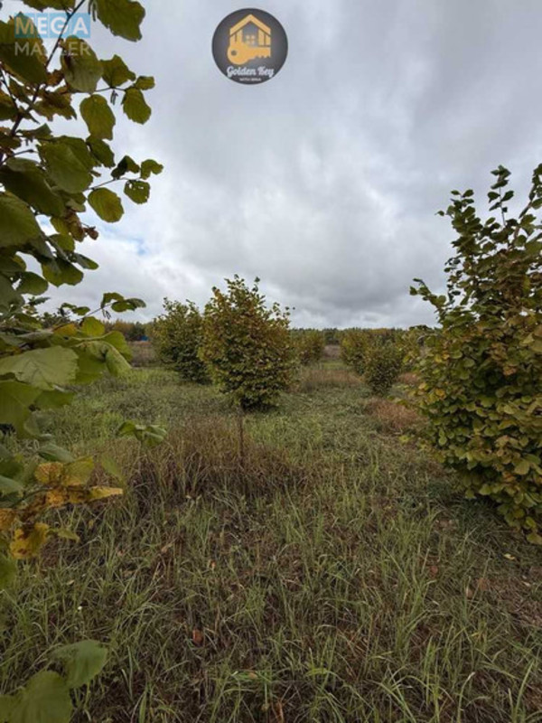 Продажа участка, 140&nbsp;соток, земля сельскохозяйственного назначения, <a class="location-link" href="/rovy/" title="Недвижимость Рови">Рови</a>, Миру (изображение 21)