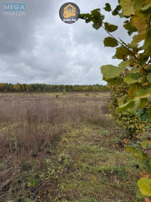 Продажа участка, 140&nbsp;соток, земля сельскохозяйственного назначения, <a class="location-link" href="/rovy/" title="Недвижимость Рови">Рови</a>, Миру (изображение 22)