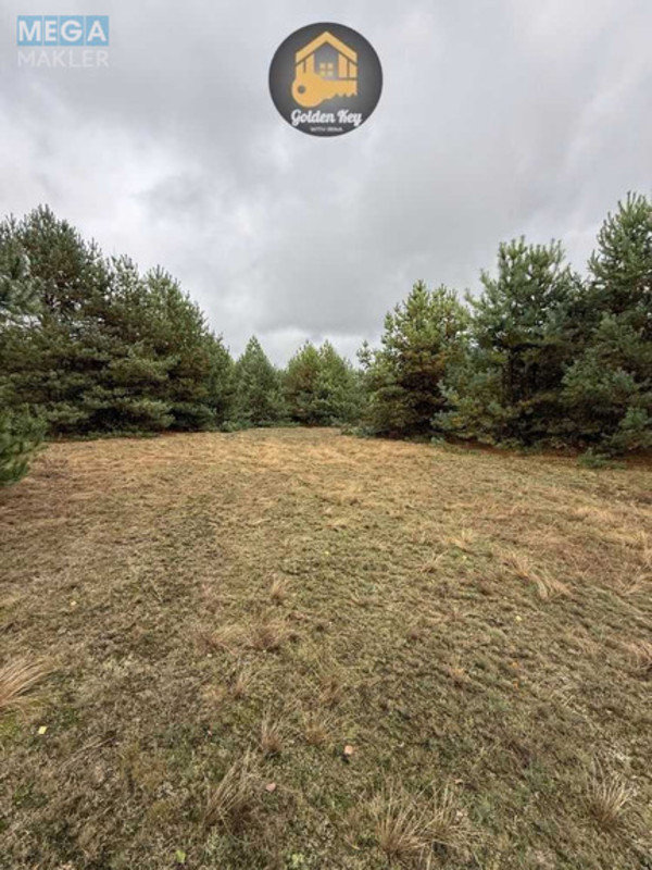 Продажа участка, 20&nbsp;соток, участок под жилую застройку, <a class="location-link" href="/abramovka/" title="Недвижимость Абрамівка">Абрамівка</a>, Центральна (изображение 3)